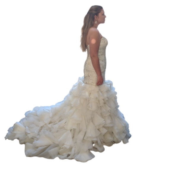 Maggie Sottero Serencia Wedding Dress - Picture 3 of 14